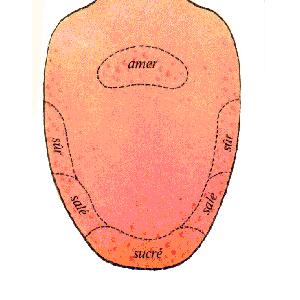 Goutezol Purchase - Medicine For Gout